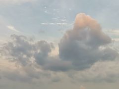-小龙大肉面馆