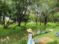 -人民公园(罗湖区)