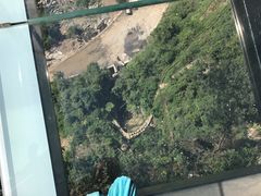 -梦幻奥陶纪景区