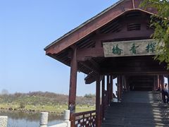 -上海海湾国家森林公园