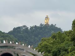 -南山植物园