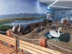 -延庆地质公园博物馆