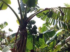 iphone_upload_pic-南丫岛