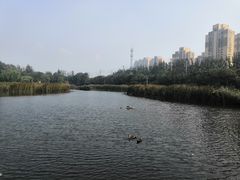 -前关湿地公园