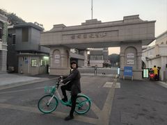 -长洲岛