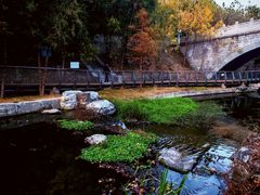 -白水寺森林公园