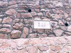 -八大关景区