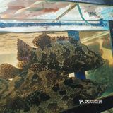 来三亚的宝子们如果想住民宿不如看看亚龙湾 博后村这边