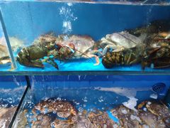 -盒马鲜生(馥邦国际店)