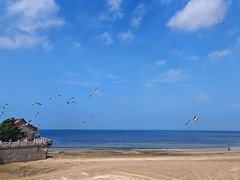-蓬莱阁景区