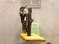 -下渚湖国家湿地公园科普馆