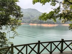 -广州市流溪河国家森林公园