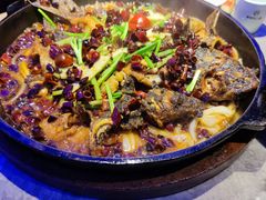 -老板恋上鱼(恒隆广场店)