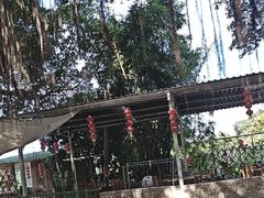 -广州市石门国家森林公园