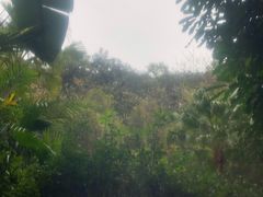 -汇雅温泉