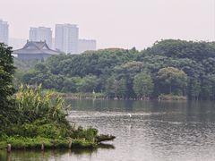 -海珠湖公园
