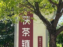 -茯茶镇