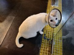 -Doors独立剧情密室(东门分店)