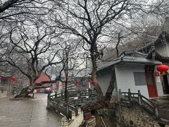 -青檀寺景区