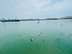 -海驴岛(荣成市)