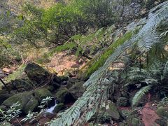 -赤水丹霞旅游区·佛光岩