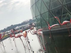 -翠晶水上餐厅(泰晤士小镇店)