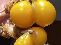 -王氏炉匠·烧鸟·居酒屋(双井店)