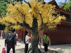 -青岩寺风景区