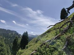 -新疆那拉提国家旅游度假区