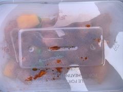 -崂山印象·青岛·海鲜渔家菜