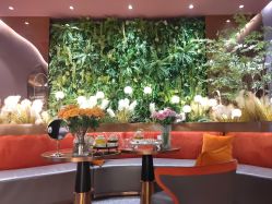 -花隐·美芙炫海菲秀皮肤管理中心