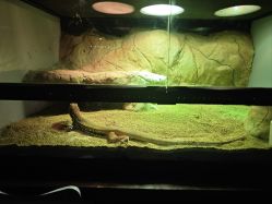 -酷嗒动物文化乐园(cutezoo西溪乐天城店)