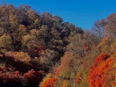 -天女山森林公园