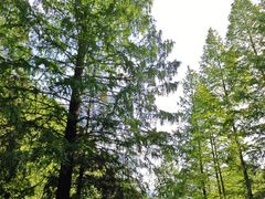 -东天目山风景区