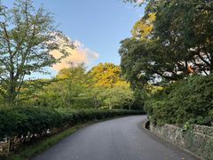 -汉拿树木园