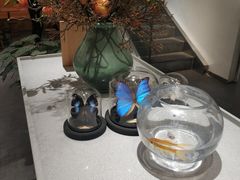 店内布置-小豆海棠(嘉兴路店)