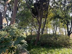 -尚贤河湿地