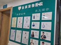 -乐琪宠物医院·犬猫专科·骨外科·急重症