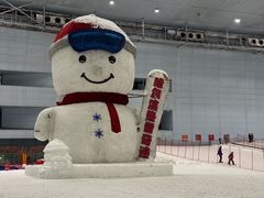 -哈尔滨热雪奇迹