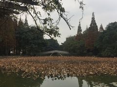 -西南交通大学(九里校区)