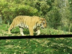 -北京野生动物园