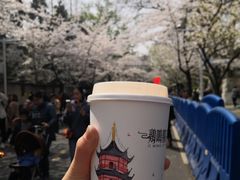 -鸡鸣赐茶(鸡鸣寺路店)