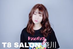 点击看大图 -T8 SALON