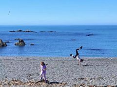 -Kaikoura Seafood BBQ Kiosk