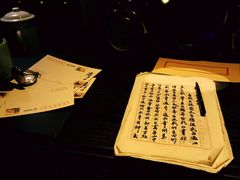 -武汉知音号