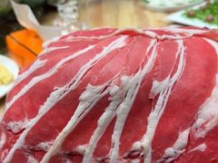 -清真军邺·金富苑肥牛(石坡街旗舰店)