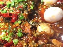 -鱼酷活鱼烤鱼(中联广场店)