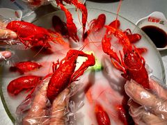 -红盔甲·小龙虾(天钥桥店)