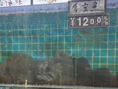 -兆辉木炭海鲜烧烤·海鲜小炒