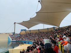 -秦皇岛乐岛海洋王国